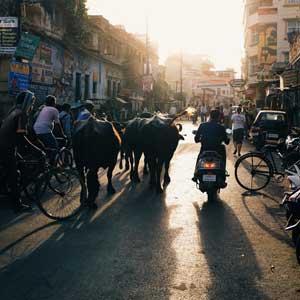 Rajasthan travel advice