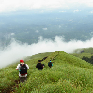 Walking holidays in Kerala