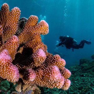 Bunaken National Park in Sulawesi