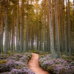 Best time to visit Scotland