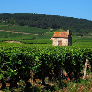 Walking in France map & highlights