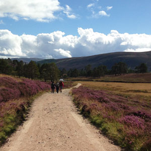 Things to see & do in the Cairngorms