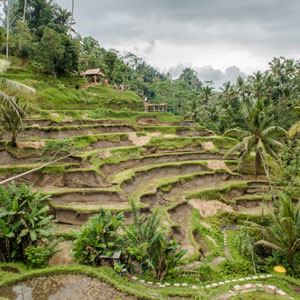 Bali travel guide