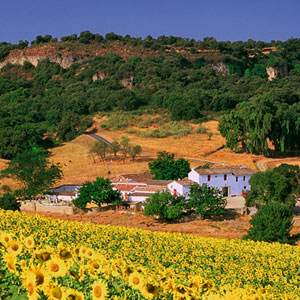 Places to visit in Spain
