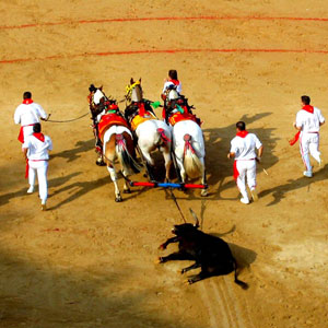 Responsible tourism in Spain