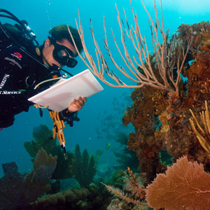 How to choose an ethical volunteering operator