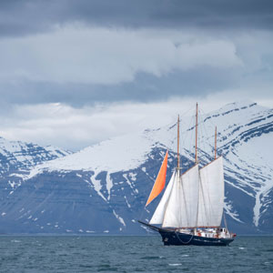 Best time to go sailing on a tall ship