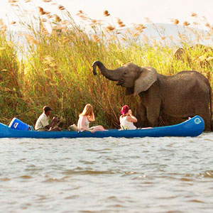 Canoeing holidays on the Zambezi