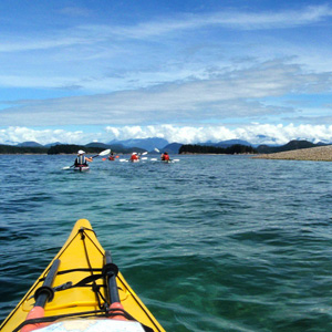 Vancouver Island wildlife holidays
