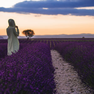 Upper Provence walking holidays