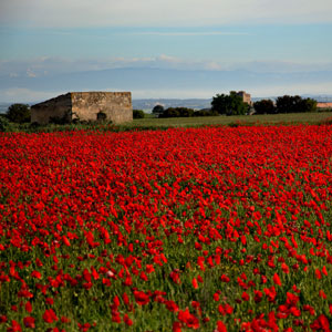 Best time to visit Catalonia
