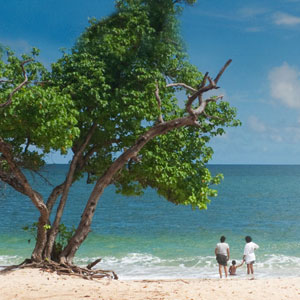 When to go on a family holiday