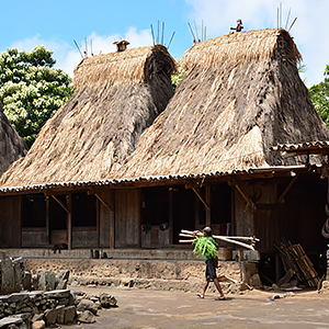 Culture in Flores