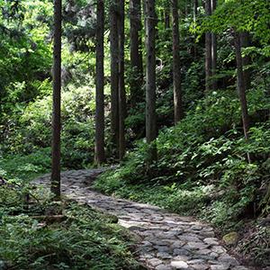 Walking holidays in Honshu