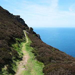 Devon travel guide