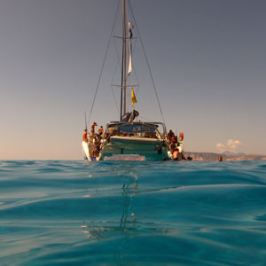 Dolphin watching holidays in Greece