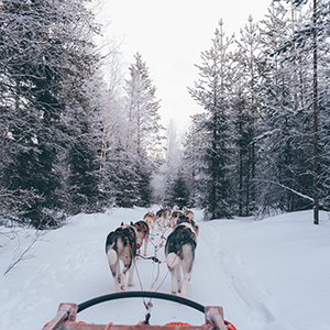Finland travel guide