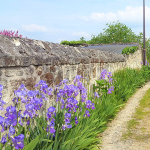 Best time to go to the Loire Valley