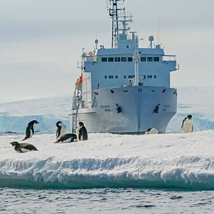 What is a small ship cruise?