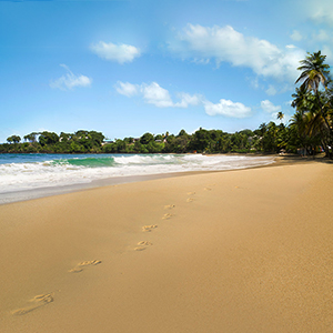 Best time to visit Tobago