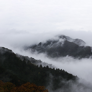 Best time to visit Japan