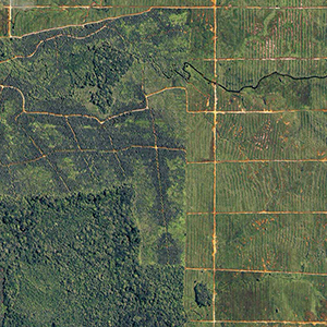 Responsible tourism in Borneo