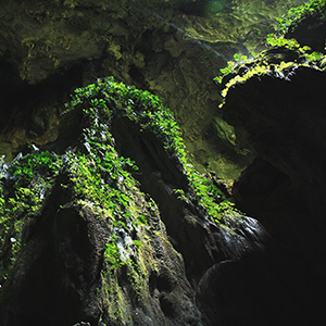 Things to see & do in Sarawak, Borneo