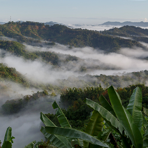 Things to see & do in Sabah, Borneo