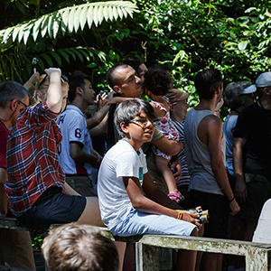 Orangutan watching with kids