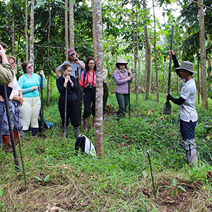 Family volunteering in Borneo