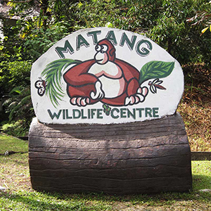 Matang Wildlife Centre in Borneo