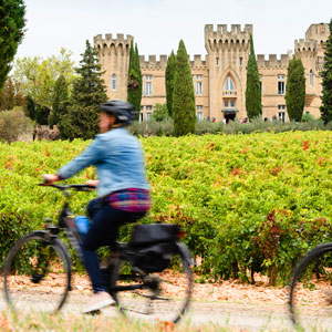 E-biking holidays in Provence