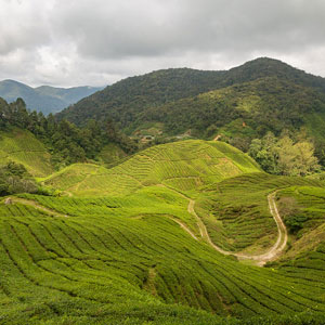 Malaysia map & highlights