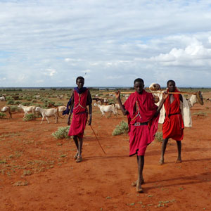 Amboseli conservancy safari