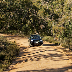 Great Ocean Road travel advice