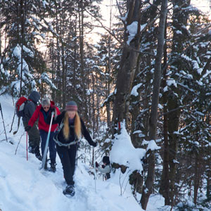 Snowshoeing in Transylvania