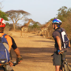 Cycling in Kenya & Tanzania