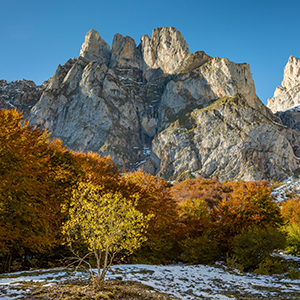 Picos de Europa photography holidays