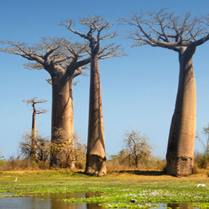 Best time to visit Madagascar