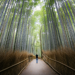 Solo travel in Japan