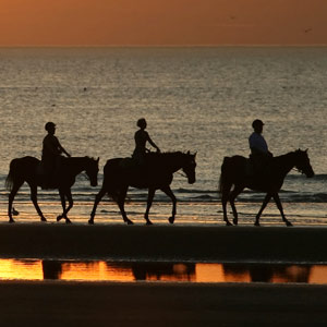 Horse riding travel guide