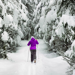Winter multi activity holidays