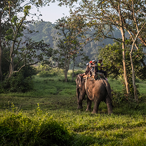 Elephant back safaris & conservation