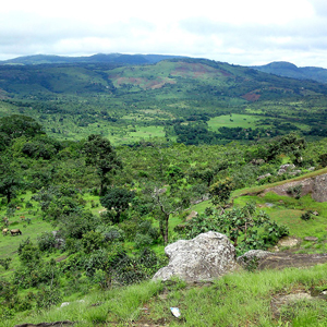Best time to visit Guinea