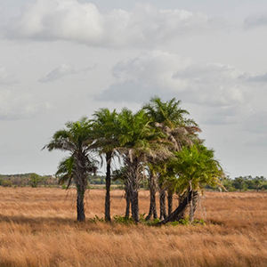 Best time to visit Guinea-Bissau