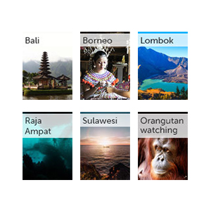 All our Indonesia guides