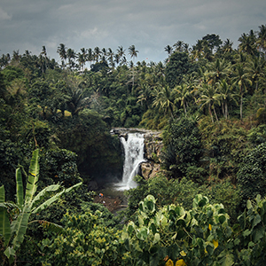 Best time to go to Indonesia