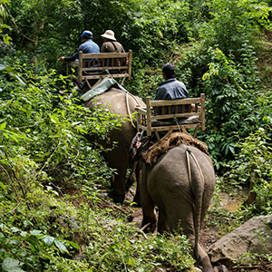 Responsible tourism in Laos 