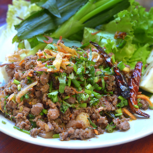 Laos travel advice