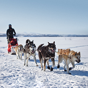 Where to go in Lapland